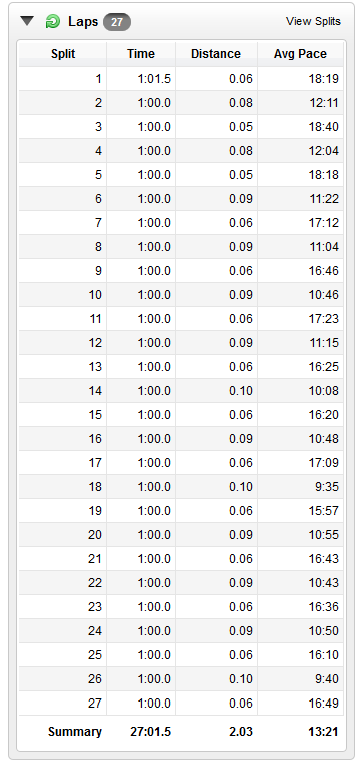 11/24/13 interval laps