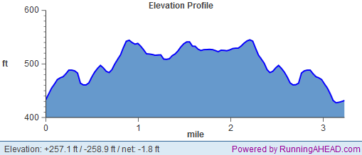fangtastic 5k elevation profile