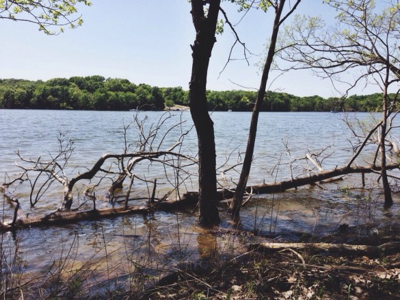 percy priest lake at long hunter state park