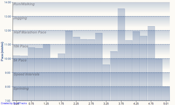 Barrel Fest 5 Miler Pacing