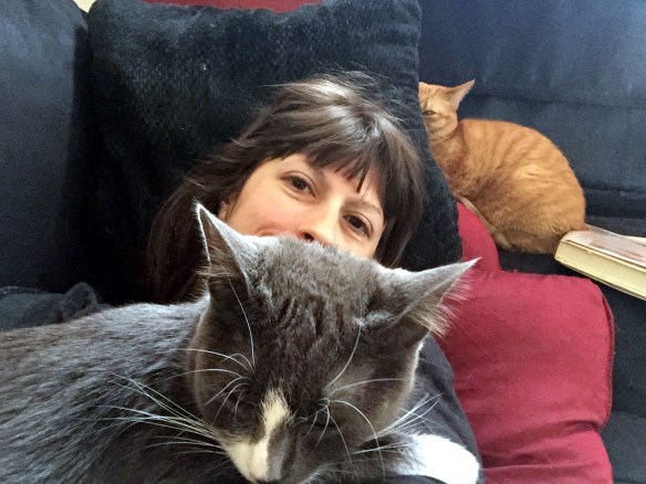 wisdom teeth recovery